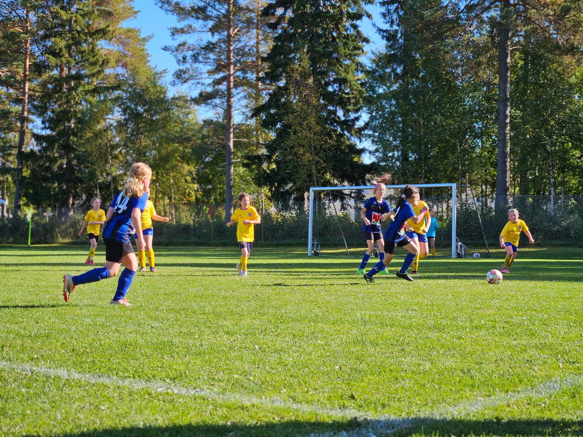 sön 6 sep. 21:51