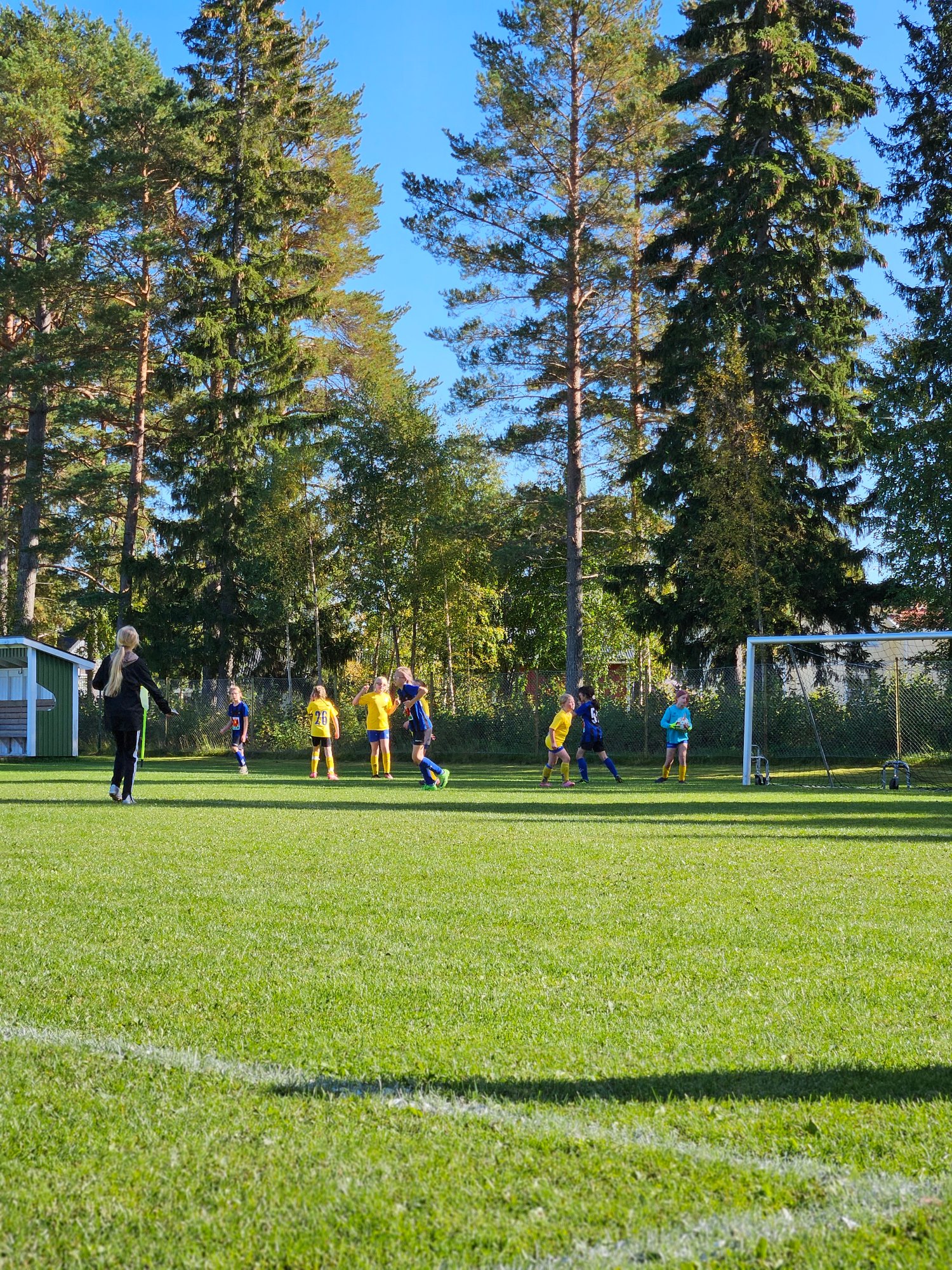 sön 6 sep. 21:51